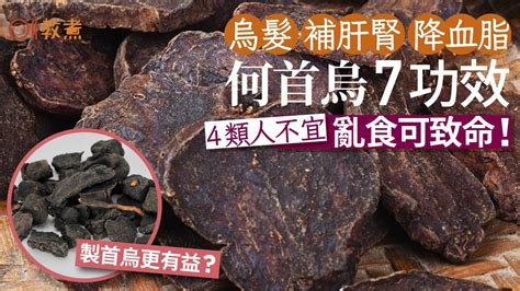 何首烏的功效|何首烏 的功效與作用有哪些？完整解析！